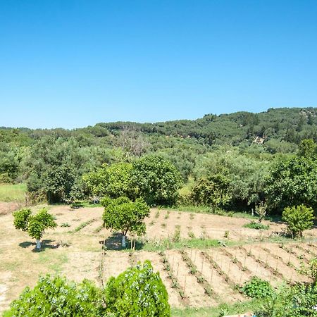 Vassilis Paradise Garden Aparthotel Agios Georgios Pagon Esterno foto