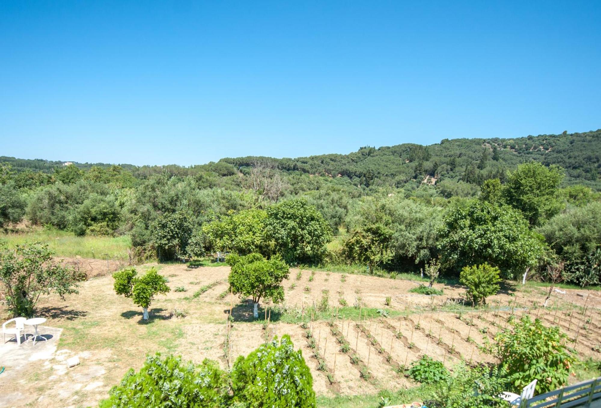 Vassilis Paradise Garden Aparthotel Agios Georgios Pagon Esterno foto